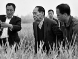 وزارت امور خارجه: درگذشت یوان لونگ پینگ خسران بزرگی برای چین و جهان استا