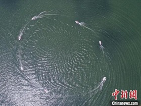 Guizhou: Asah Keupayaan Menyelamat Di Air