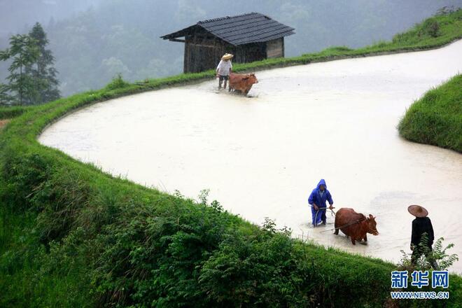 Pelancong Terdedah Budaya Pertanian di Guizhou_fororder_7a