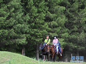 Pasukan Kuda di Padang Rumput Xinjiang