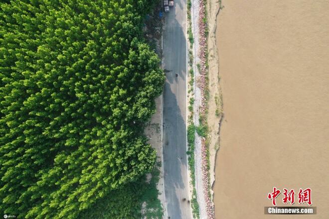 Ekologi Persekitaran Terpelihara di Taman Tanah Lembab Huanghe_fororder_33