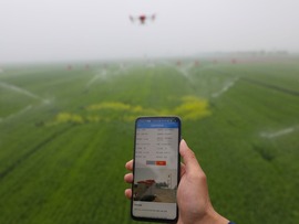 مزرعه هوشمند زمینی که در هه نان چین پاداش می گیردا
