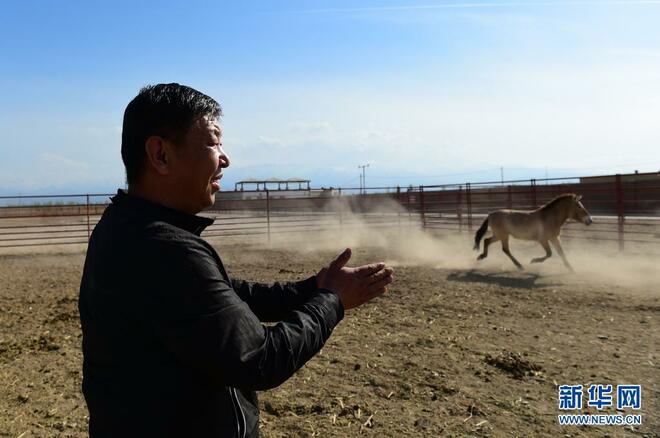 Pusat Pembiakan dan Penyelidikan Kuda Liar di Xinjiang_fororder_1127370583_16192675473451n