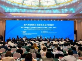 نشست کمیسیون توسعه و اصلاحات چین با مسوولان شرکت های چند ملیتی ایالات متحده در چینا