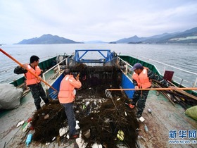 Bersihkan Sampah Terapung, Lindungi Persekitaran Laut
