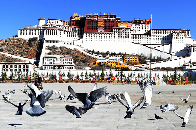 तिब्बत : शांतिपूर्ण मुक्ति के बाद 70 वर्षों में उल्लेखनीय विकास हुआ_fororder_1629348744058_685