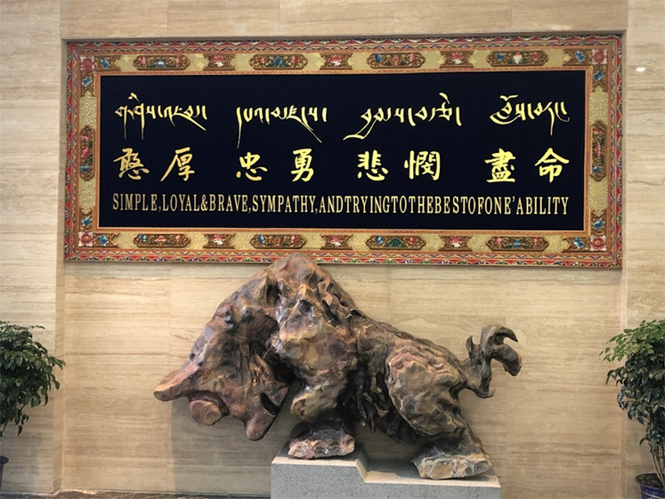 نگاهی به نقش گاومیش در شکل گیری تمدن و فرهنگ تبتی ها_fororder_5