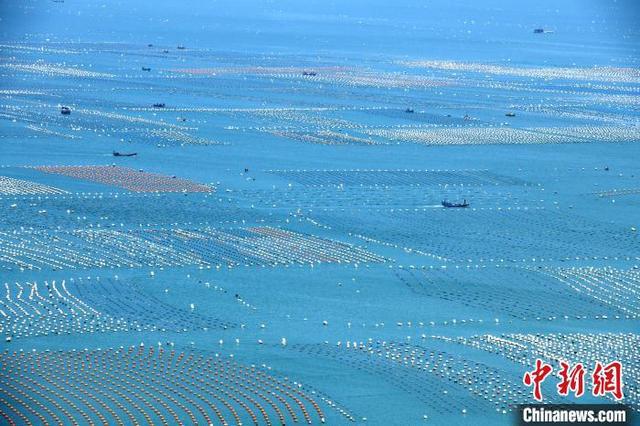 Lianjiang Terkenal dengan “Ladang Ternakan di Laut”_fororder_mc5
