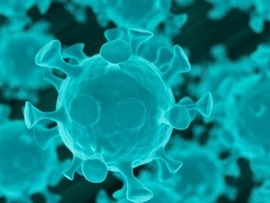 ظهور سویه جدید ویروس کرونا در آفریقای جنوبیا