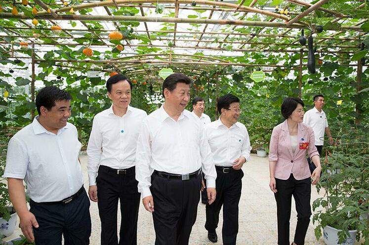 توجه رییس جمهور چین به امور کشاورزی_fororder_3432423