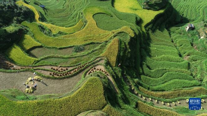 Ladang Teres Indah di Guizhou_fororder_1127852108_16313589282071n