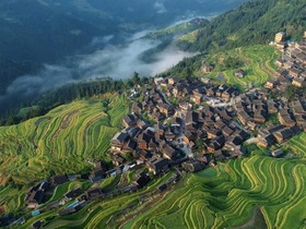 Ladang Teres Indah di Guizhou