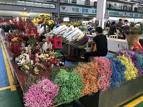 Pasar Bunga Dounan, Pasar Bunga Terbesar di Asia