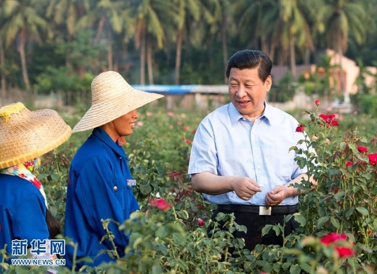 توجه رییس جمهور چین به امور کشاورزی_fororder_21431234