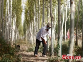 اجرای موفقیت آمیز پروژه بیابان زدایی «حصار زیست محیطی سبز » در شین جیانگا