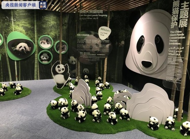 Kempen Lindungi Panda di Ekspo Dubai 2020_fororder_905582408