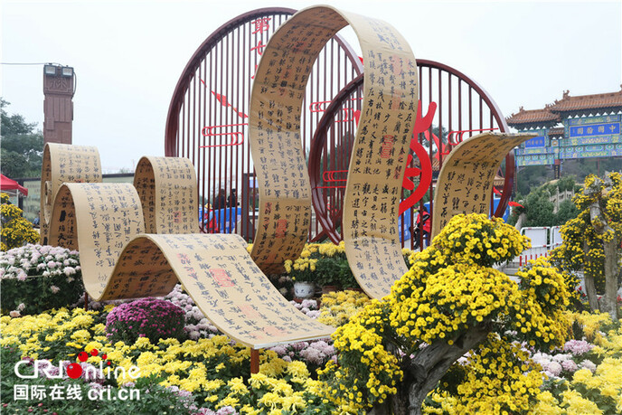 चीन के खैफ़ंग में 32 लाख बर्तन गुलदाउदी फूल खिले_fororder_1