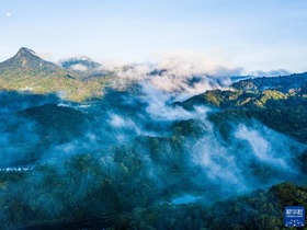 Taman Kebangsaan Hutan Tropika Hainan