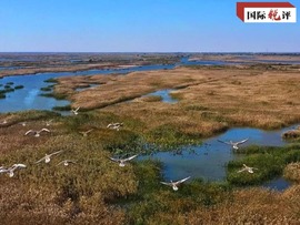 تقویت حفاظت های اکولوژیکی از رودخانه زرد؛ نشانه عزم راسخ چین در توسعه سبز