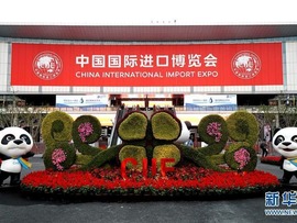 نمایشگاه بین المللی واردات چین وارد سال چهارم شد: پافشاری چین برای چه است؟