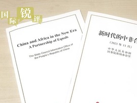 نگاهی به درخت تنومد همکاری چین-آفریقا؛ دوستی صادقانه و مثمرثمر