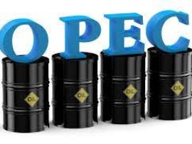 اوپک پیش‌بینی خود از رشد تقاضای جهانی نفت را کاهش دادا