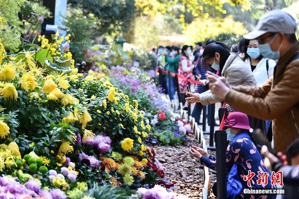 Lebih 800 Jenis Bunga Kekwa Dipamerkan di Hangzhou_fororder_211