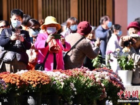 Lebih 800 Jenis Bunga Kekwa Dipamerkan di Hangzhou