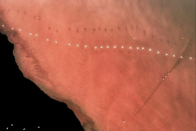 بر روی یک خط و پشت سر هم بر فراز منظره‌ای شبیه سیاره مریخ واقع در ریفت‌ولی در کشور کنیا_fororder_13-1