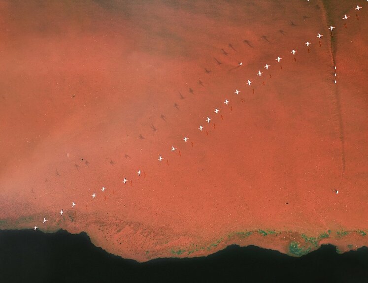 بر روی یک خط و پشت سر هم بر فراز منظره‌ای شبیه سیاره مریخ واقع در ریفت‌ولی در کشور کنیا_fororder_13-4