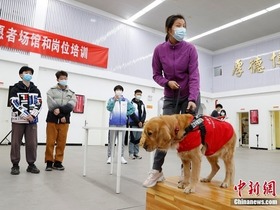 Latihan kepada Sukarelawan Sukan Olimpik Musim Sejuk Beijing