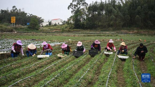 Qinzhou Majukan Industri Berasaskan Pertanian_fororder_1128081312_16373208355151n
