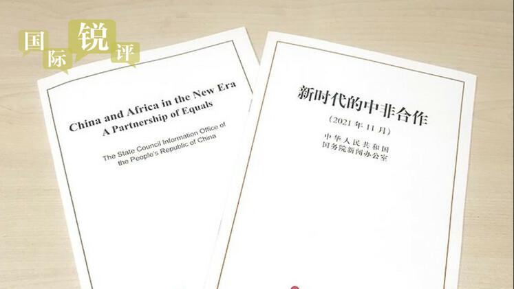 نگاهی به درخت تنومد همکاری چین-آفریقا؛ دوستی صادقانه و مثمرثمر_fororder_rBABCWGhcCKAfl8PAAAAAAAAAAA373.1000x563