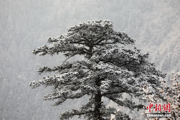 Pemandangan Salji di Gunung Xinglong Seindah Lukisan_fororder_512