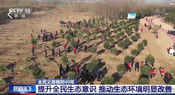 Хятад улс 40 жилд 78 тэрбум ширхэг мод тарив