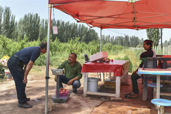 Petani Xinjiang Lonjak Pendapatan Menerusi Pic_fororder_113