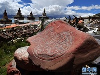 Qiangtang Tibet Tawar Keindahan Semula Jadi