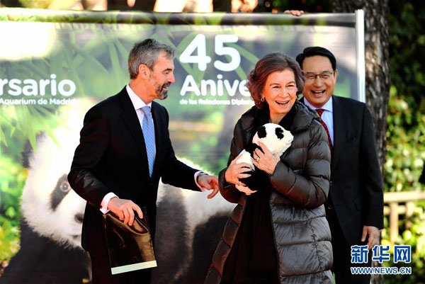 Sepanyol, China Lanjut Kerjasama Penyelidikan Panda