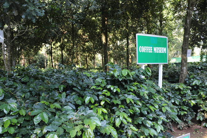 图片默认标题_fororder_2 位于彬乌伦的“缅甸咖啡研究中心”有一个“咖啡博物馆”.JPG