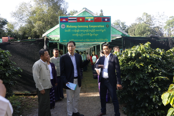 图片默认标题_fororder_4 中缅两国官员、专家在咖啡种植园内讨论、交流.JPG