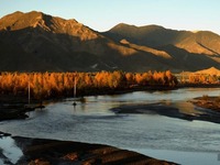 Keindahan Musim Luruh di Aliran Sungai Yarlu Zangbu